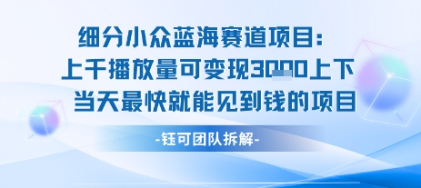 小众蓝海赛道项目：当天变现1k+适合新手操作 +适合长期玩-贝贝云网创