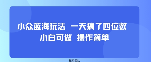 小众蓝海玩法 一天搞了四位数 小白可做 操作简单-贝贝云网创