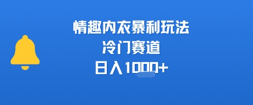 情趣内衣暴利玩法，冷门赛道，日入1k+-贝贝云网创