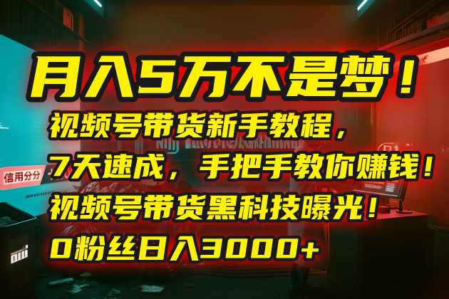 月入5万不是梦！视频号带货新手教程，7天速成，手把手教你赚钱！视频号…-贝贝云网创