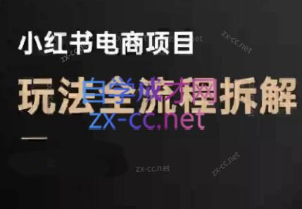 菲菲老师·小红书电商玩法(更新7月)-贝贝云网创