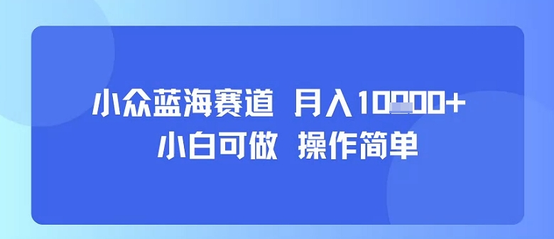 小众蓝海赛道，小白可做，操作简单，每天30分钟，月入1W+-贝贝云网创