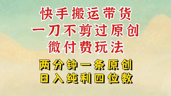 快手黑科技搬运带货，一刀不剪过原创，微付费投流玩法，轻松日入四位数…-贝贝云网创