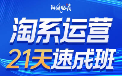 白凤电商·淘系运营21天速成班(更新6月)-贝贝云网创