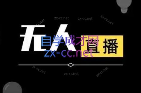宝子哥·无人直播-非实时防风技术(更新7月)-贝贝云网创