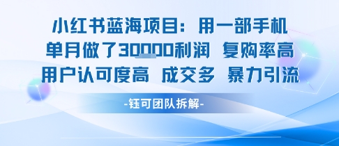 小红书蓝海项目，一部手机单月做了3W利润，小白也能月入过1W用户认可度高成交多-贝贝云网创