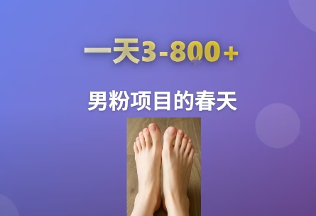AI一键生成美女素材，一天收益3-8张，男粉项目的春天-贝贝云网创