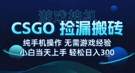8月最新游戏搬砖，CSGO纯挂G，不需要玩游戏，实现真挂G，月入1W+【揭秘】-贝贝云网创