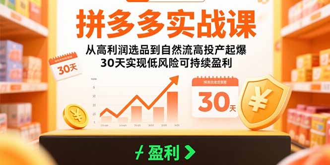拼多多实战课：从高利润选品到自然流高投产起爆 30天实现低风险可持续盈利-贝贝云网创