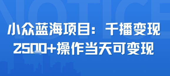 小众蓝海项目，千播变现2.5k+操作当天可变现-贝贝云网创
