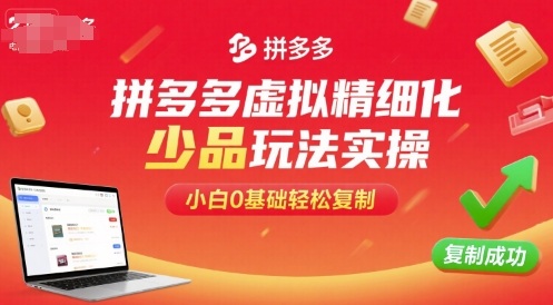 拼多多虚拟精细化少品玩法实操，小白0基础轻松复制-贝贝云网创