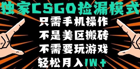 CSGO自动捡漏项目，最新独家玩法，不是美区搬砖，不需要了解和玩游戏，新手小白轻松月入1W+【揭秘】-贝贝云网创