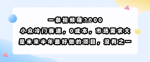 一条视频挣1k，小众冷门赛道，0成本，市场需求大，是未来半年最好做的项目，没有之一-贝贝云网创