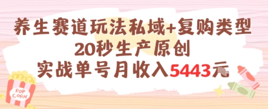 养生赛道玩法私域+复购类型，20秒生产原创实战单号月收入5k+-贝贝云网创