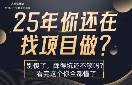 25年，你还在疯狂的找项目吗？别傻了，看完这个你都懂了【揭秘】-贝贝云网创