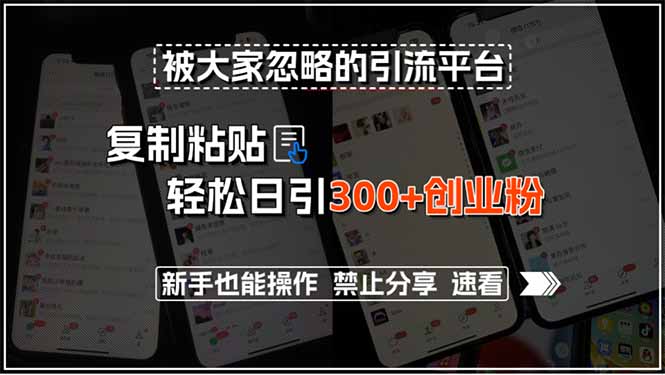被大家忽略的引流平台，复制粘贴轻松日引300+创业粉，新手也能操作，禁…-贝贝云网创