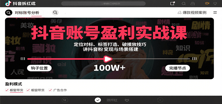 抖音账号盈利实战课，定位对标、标签打造、破播放技巧，讲涨粉变现与场景搭建-贝贝云网创