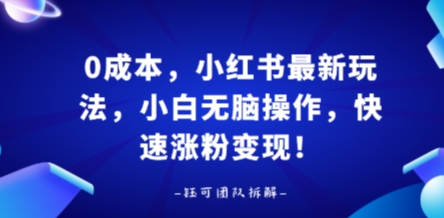0成本，小红书最新玩法，小白无脑操作，快速涨粉变现-贝贝云网创