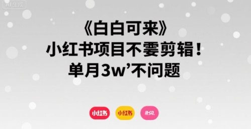 小白可来 小红书项目不需要剪辑 单月3w不是问题-贝贝云网创