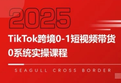 大亿老师·TikTok跨境0-1短视频带货-贝贝云网创