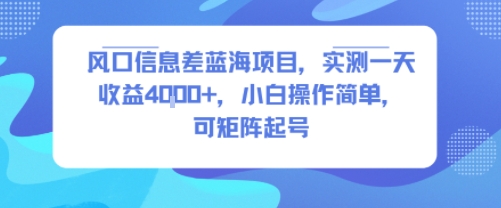 风口信息差蓝海项目，实测一天收益4k+，小白操作简单，可矩阵起号-贝贝云网创