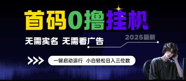首码0撸挂G项目，无需实名无需看广告 一键启动运行，小白轻松日入三位数【揭秘】-贝贝云网创