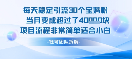 每天稳定引流30个人 当月变成超过了4个W项目流程非常简单适合小白-贝贝云网创