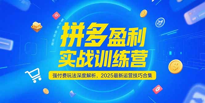 拼多多盈利实战训练营，强付费玩法深度解析，2025运营技巧合集-更新6月-贝贝云网创