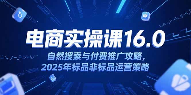 淘宝电商运营课16.0，自然搜索与付费推广攻略，2025年标品非标品运营策略-贝贝云网创