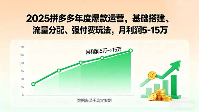 2025拼多多年度爆款运营，基础搭建、流量分配、强付费玩法，月利润5-15万-贝贝云网创