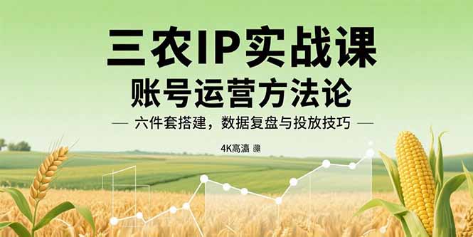 三农IP实战课：账号运营方法论，六件套搭建，数据复盘与投放技巧-贝贝云网创