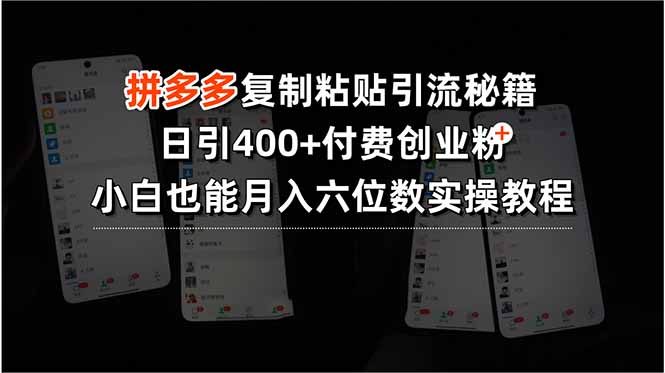拼多多复制粘贴引流秘籍，日引400+付费创业粉，小白也能月入六位数实操…-贝贝云网创