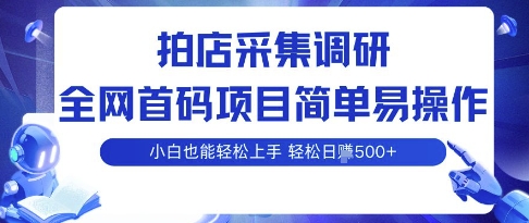 拍店采集调研，全网首码项目，简单易操作， 小白也能轻松上手，多账号操作，轻松日入5张【揭秘】-贝贝云网创