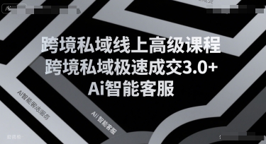 跨境私域线上高级课程，跨境私域极速成交3.0+Ai智能客服-贝贝云网创