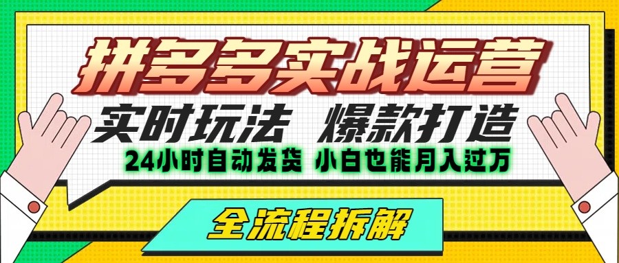拼多多最新实战运营高投产：长久稳定项目，单店利润一天三位数-贝贝云网创