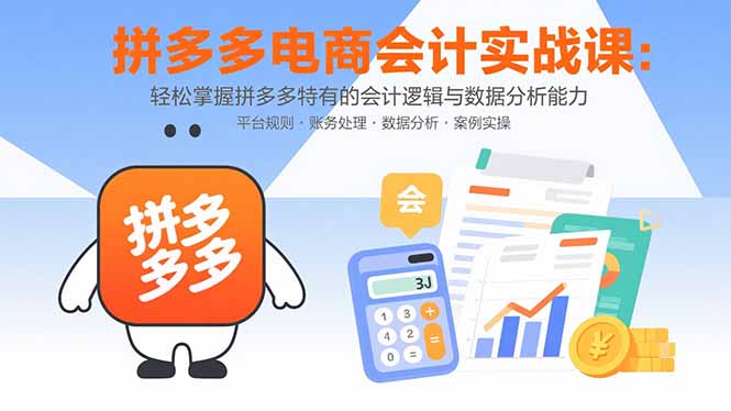 拼多多电商会计实战课：轻松掌握拼多多特有的会计逻辑与数据分析能力-贝贝云网创