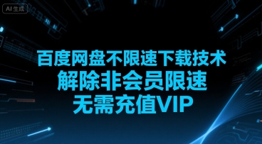 百度网盘不限速下载技术，解除非会员限速，无需充值VIP-贝贝云网创