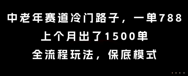 中老年赛道冷门路子，一单788，上个月出了1500单，全流程玩法，保底模式【揭秘】-贝贝云网创