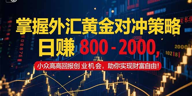 掌握外汇黄金对冲策略，日赚 800 – 2000，小众高回报创业机会，助你实…-贝贝云网创