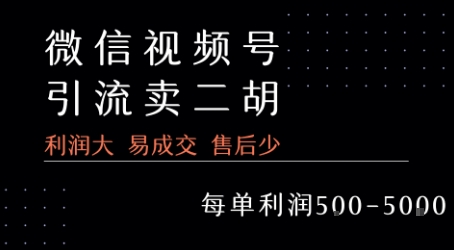 视频号卖二胡教程，利润大 易成交 售后少，一单利润5张+-贝贝云网创