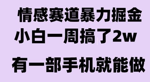 情感暴力掘金项目，新人操作一周挣了2W，长期稳定小白可做【揭秘】-贝贝云网创