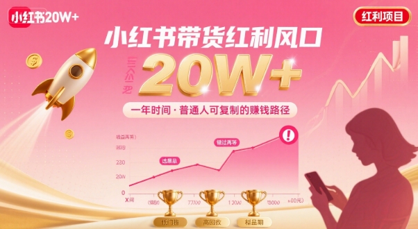 一年时间靠小红书带货项目年入20w+，最不能错的大红利项目-贝贝云网创