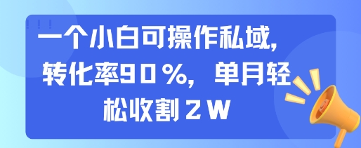 一个小白可操作私域，转化率90%，单月轻松收割2W-贝贝云网创