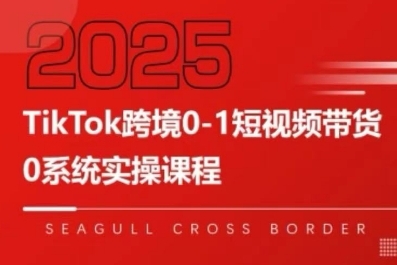 TikTok跨境0-1短视频带货，系统拆解TikTok跨境带货全链路，实现跨境可持续盈利-贝贝云网创