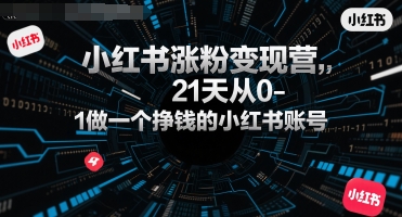 小红书涨粉变现营，21天从0-1做一个挣钱的小红书账号-贝贝云网创