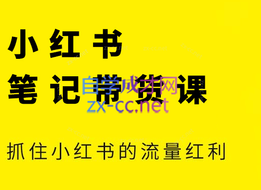 张宾·小红书笔记带货课(更新6月)-贝贝云网创