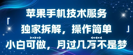 苹果手机技术服务，独家拆解，操作简单，小白可做，月过1W不是梦-贝贝云网创
