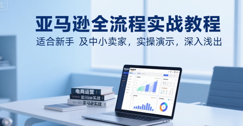 亚马逊全流程实战教程，适合新手及中小卖家，实操演示，深入浅出-贝贝云网创