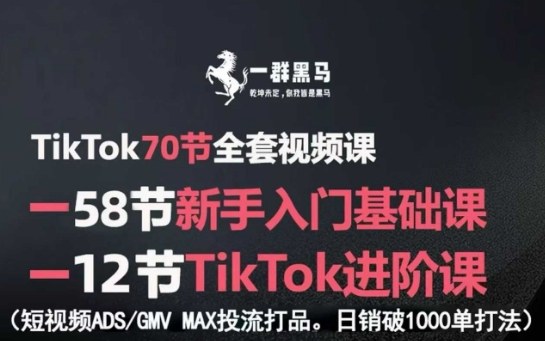 TikTok全套视频课，新手入门+进阶课，短视频ADS-GMV MAX投流打品，日销破1000单打法-贝贝云网创