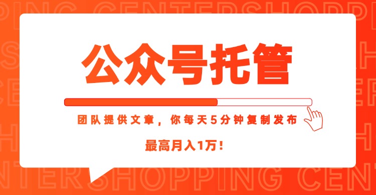 【公众号托管 】我提供文章，你每天５分钟复制发布，最高月入1W-贝贝云网创